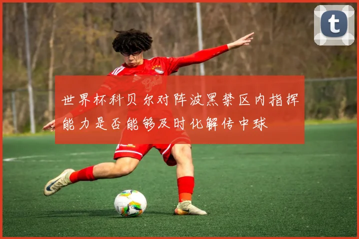 世界杯科贝尔对阵波黑禁区内指挥能力是否能够及时化解传中球